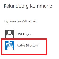 Vælg Active Directory på listen.